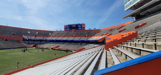 英超第32輪阿森納1-2布萊頓 厄德高破門難救主.