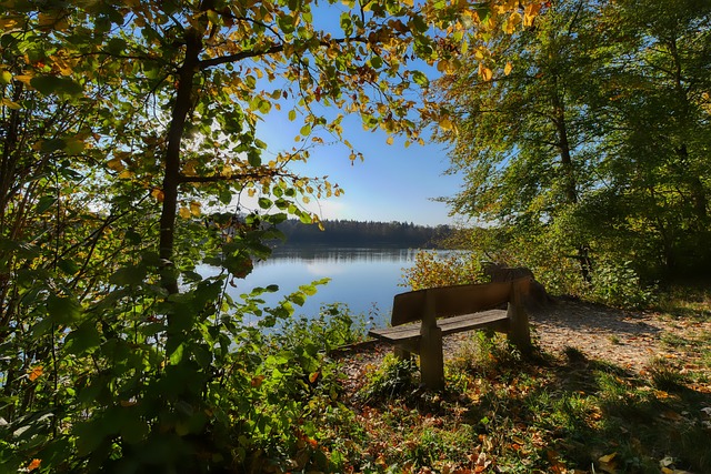 富安健洋同意与阿森纳续约，周薪翻倍至10万镑.